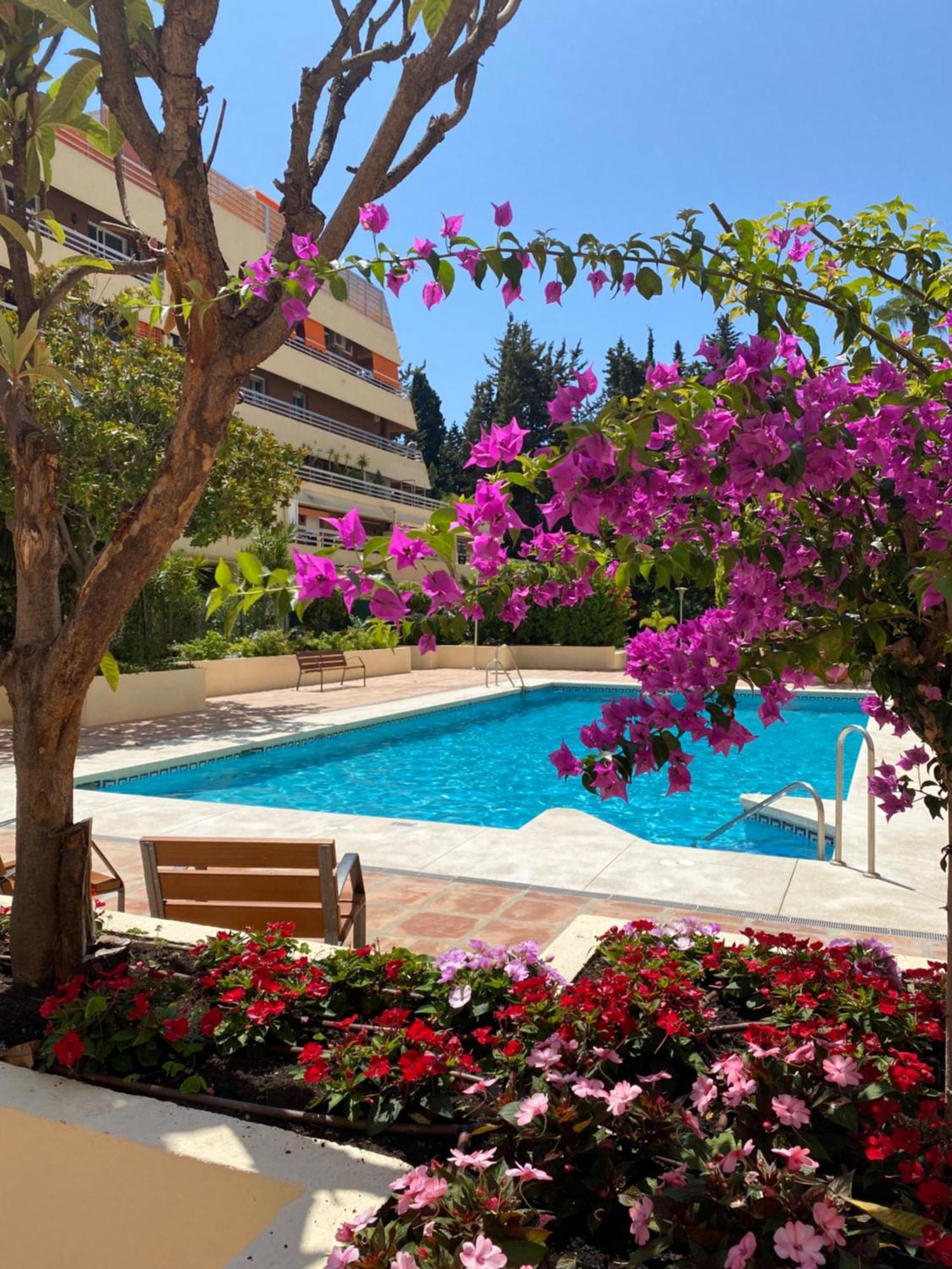 Apartamento Al Parque Marbella, Cerca De Mar Y Centro De מארבלה מראה חיצוני תמונה